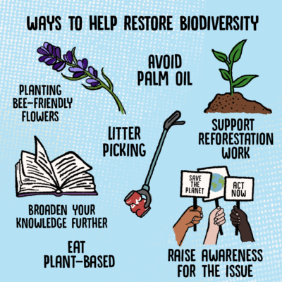 Biodiversity Illustration